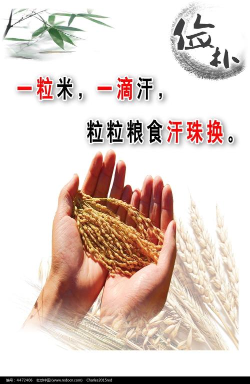 詹姆士库克大学 Science and technology diploma
